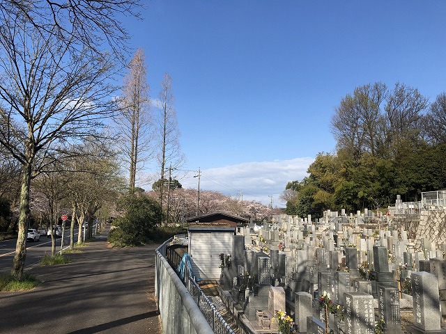 平和公園　春養寺01